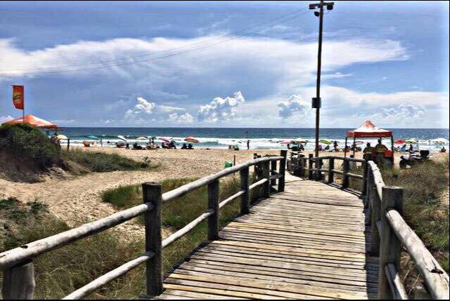 Flat Estrela Do Mar Oficial *